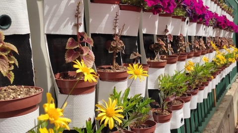 החווה החקלאית של דרום השרון אדם3.jpg