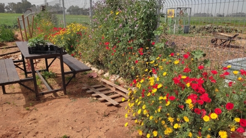 החווה החקלאית של דרום השרון אדם1.jpg