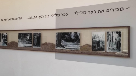 מוזיאון עין חי1.jpg