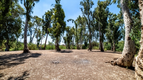 טחנת אבו רבאח4.jpg