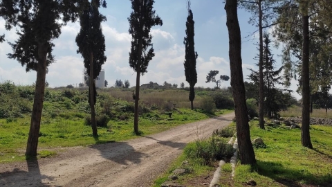 חניון חזי2.jpg