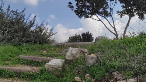 חניון חזי4.jpg