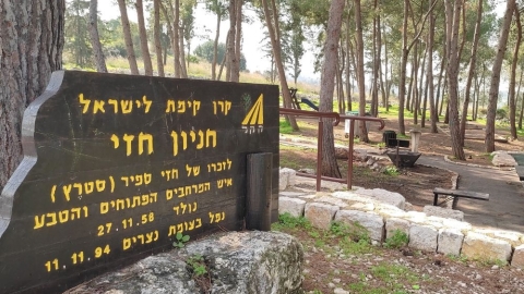 חניון חזי3.jpg