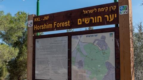 יער חורשים4.jpg