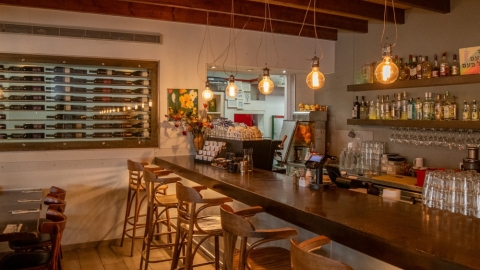 קמליה קיבוץ ניר אליהו2.jpg