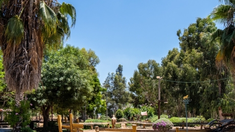 סוס קפה – עגלת קפה1.jpg