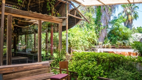 סוס קפה – עגלת קפה3.jpg